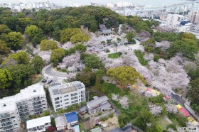 西公園全景2025年の画像